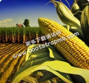 安全下载，极速体验 - 雷速直播