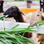 探索体育精彩世界 - 雷速直播